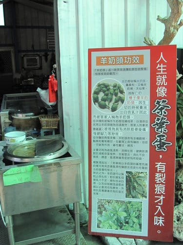 苗栗賞櫻景點泰安舊火車站&派出所周邊櫻花正盛開