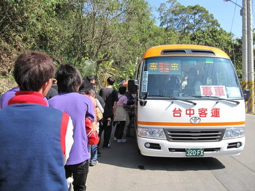 中部賞櫻景點大坑『濁水巷』…櫻花祕境賞櫻