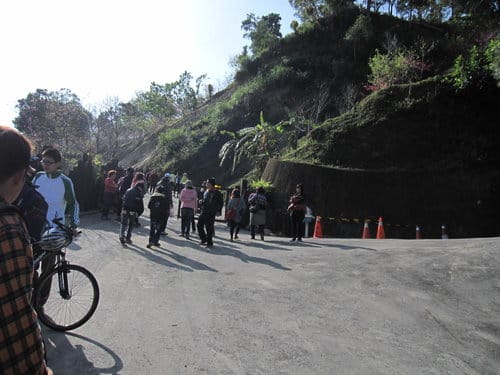 中部賞櫻景點大坑『濁水巷』…櫻花祕境賞櫻