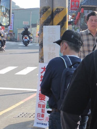 中部賞櫻景點大坑『濁水巷』…櫻花祕境賞櫻