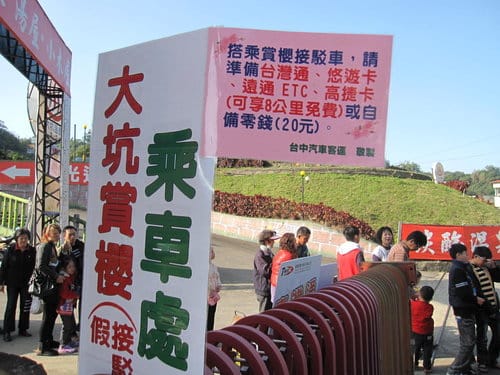 中部賞櫻景點大坑『濁水巷』…櫻花祕境賞櫻