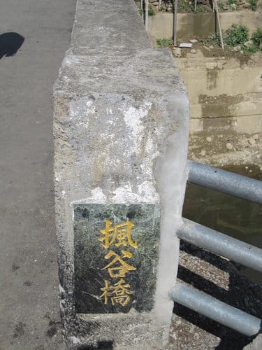 中部賞櫻景點大坑『濁水巷』…櫻花祕境賞櫻