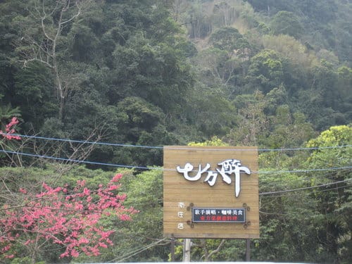 第22露營新竹峨眉『雲雀山莊露營區』day2