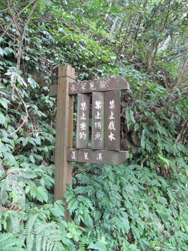 第22露營新竹峨眉『雲雀山莊露營區』day2