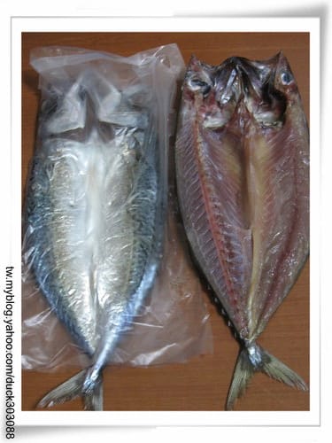 自己製做 『 鯖魚(花飛)一夜干』