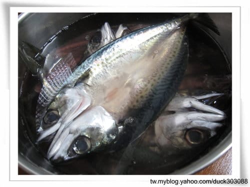 自己製做 『 鯖魚(花飛)一夜干』