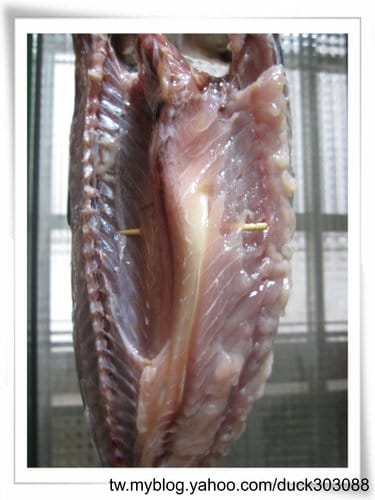 自己製做 『 鯖魚(花飛)一夜干』