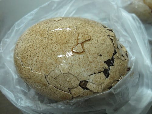 台中逢甲夜市美食小吃–吃透透(懶人包)持續更新中…