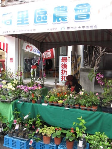 2013.大甲媽祖遶境國際觀光文化季台中糕餅節vs農特產品推廣活動…免費試吃 - 第19張圖 2013.大甲媽祖遶境國際觀光文化季台中糕餅節vs農特產品推廣活動…免費試吃