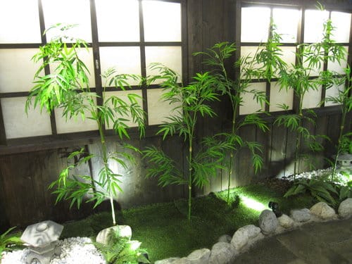 我到底是該說或不該說?