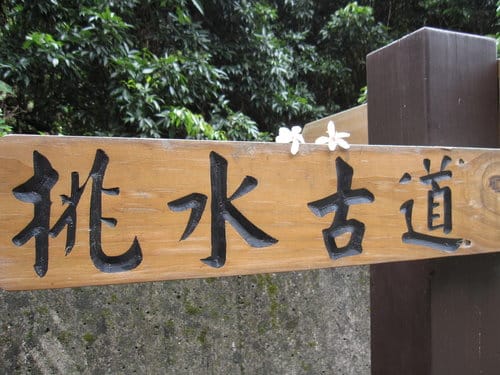 【彰化景點】芬園『挑水古道』賞四月雪-油桐花盛開 - 第26張圖 【彰化景點】芬園『挑水古道』賞四月雪-油桐花盛開