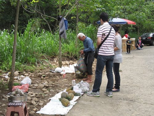 【彰化景點】芬園『挑水古道』賞四月雪-油桐花盛開 - 第8張圖 【彰化景點】芬園『挑水古道』賞四月雪-油桐花盛開
