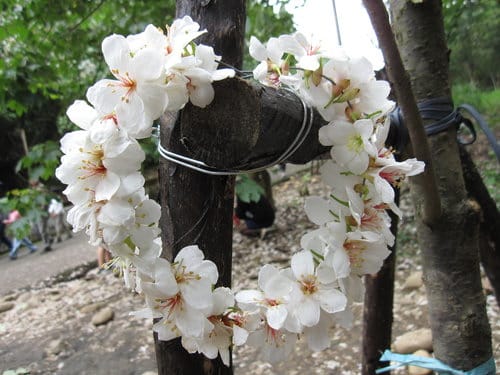 【彰化景點】芬園『挑水古道』賞四月雪-油桐花盛開 - 第18張圖 【彰化景點】芬園『挑水古道』賞四月雪-油桐花盛開