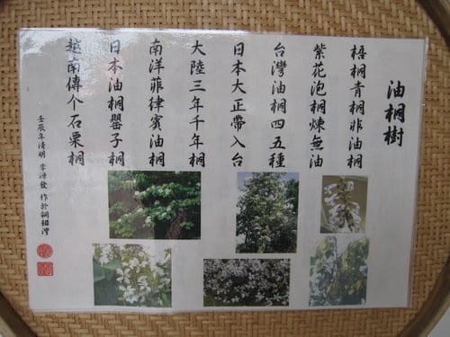 苗栗銅鑼『客家大院.桐花公園』桐樂趣
