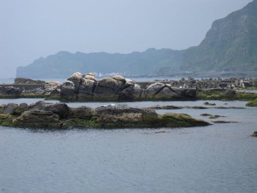 東北角景點奇岩怪石『 南雅奇岩』免費景點-東北角之旅.第2站 - 第7張圖 東北角景點奇岩怪石『 南雅奇岩』免費景點-東北角之旅.第2站