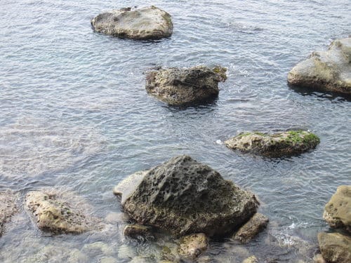 東北角景點奇岩怪石『 南雅奇岩』免費景點-東北角之旅.第2站 - 第20張圖 東北角景點奇岩怪石『 南雅奇岩』免費景點-東北角之旅.第2站