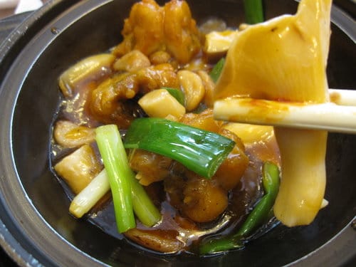 食記通豪大飯店『珍寶樓粵菜廳』港式飲茶吃到飽