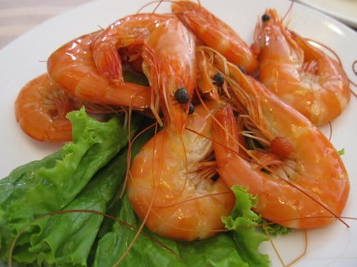 食記通豪大飯店『珍寶樓粵菜廳』港式飲茶吃到飽