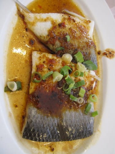 食記通豪大飯店『珍寶樓粵菜廳』港式飲茶吃到飽