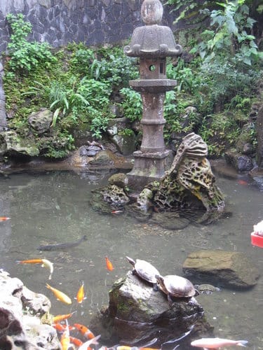 東北角之旅 第7站 金瓜石黃金博物園區周邊景點(四連棟.黃金館.勸濟堂.金水廣場) - 第41張圖 東北角之旅 第7站 金瓜石黃金博物園區周邊景點(四連棟.黃金館.勸濟堂.金水廣場)