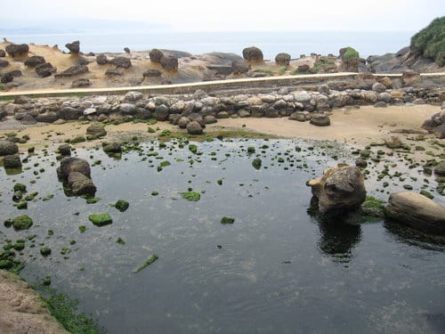 東北角之旅『野柳地質公園』親子旅遊賞天然岩石、野柳女王頭