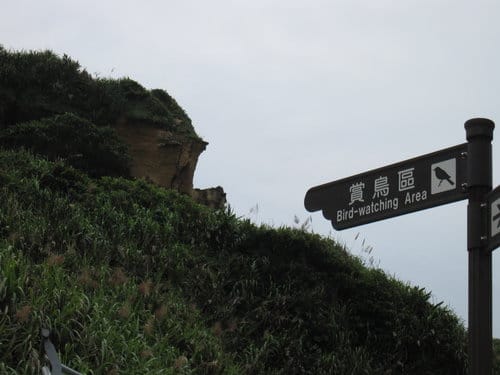 東北角之旅『野柳地質公園』親子旅遊賞天然岩石、野柳女王頭
