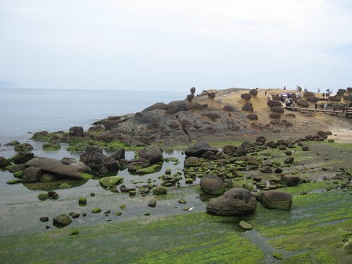 東北角之旅『野柳地質公園』親子旅遊賞天然岩石、野柳女王頭