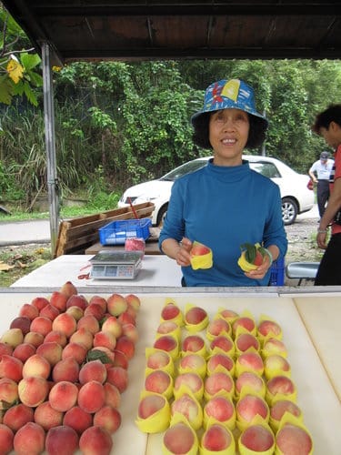 桃園景點『 慈湖紀念雕塑公園』兩蔣文化園區慈湖遊記 - 第6張圖 桃園景點『 慈湖紀念雕塑公園』兩蔣文化園區慈湖遊記