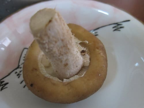 新鮮香菇料理食譜『酥炸包餡香菇』