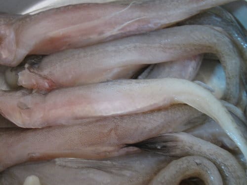 酥炸『那個魚』魚肉口感像是在吃鱈魚肉 - 第3張圖 酥炸『那個魚』魚肉口感像是在吃鱈魚肉