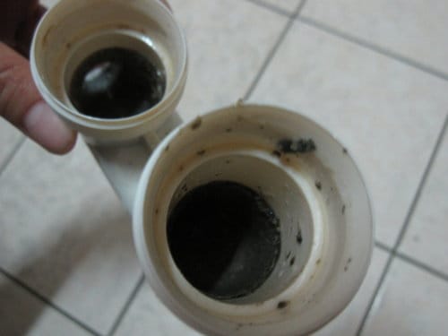 原來家中洗手台的水管這麼髒 你有清洗過浴廁洗手台水管嗎?