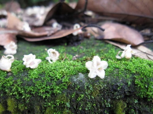 及時行樂
