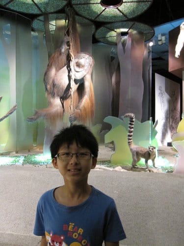 台中國立自然科學博物館 生命科學廳(二) 恐龍時代展