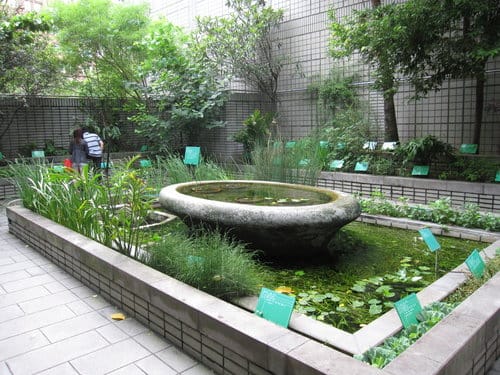 台中國立自然科學博物館 台灣南島語族.人類文化廳.中國醫藥.中國科學與技術展