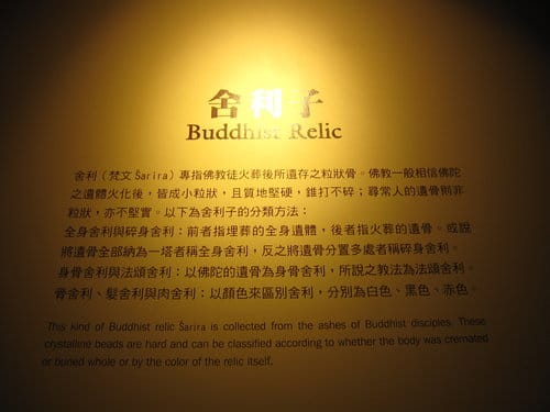 台中景點『自然科學博物館』 生命科學廳 - 第15張圖 台中景點『自然科學博物館』 生命科學廳