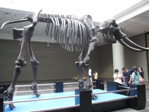 台中國立自然科學博物館 生命科學廳(二) 恐龍時代展