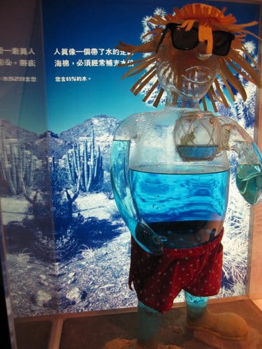台中景點『自然科學博物館』 生命科學廳 - 第6張圖 台中景點『自然科學博物館』 生命科學廳