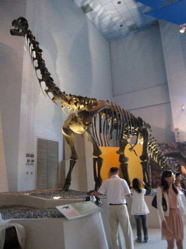台中國立自然科學博物館 生命科學廳(二) 恐龍時代展