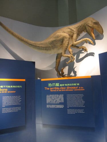 台中國立自然科學博物館 生命科學廳(二) 恐龍時代展