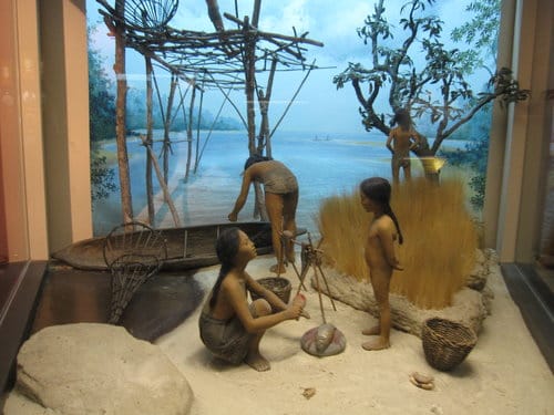 台中國立自然科學博物館 生命科學廳(二) 恐龍時代展