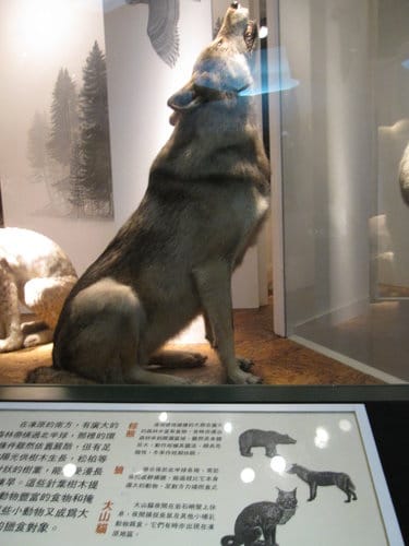台中國立自然科學博物館 生命科學廳(二) 恐龍時代展