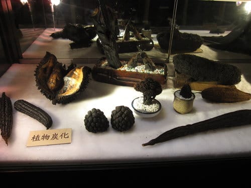 南投/國姓國姓驛站遊客中心『炭雕藝術博物館』免費參觀 (2014年巳更新為牛樟芝..商品展售區) - 第17張圖 南投/國姓國姓驛站遊客中心『炭雕藝術博物館』免費參觀 (2014年巳更新為牛樟芝..商品展售區)