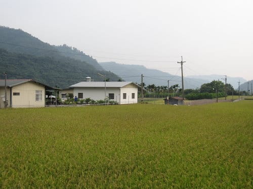 霧社事件的餘生者賽德克族 仁愛互助村川中島『清流部落』
