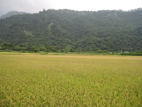 霧社事件的餘生者賽德克族 仁愛互助村川中島『清流部落』