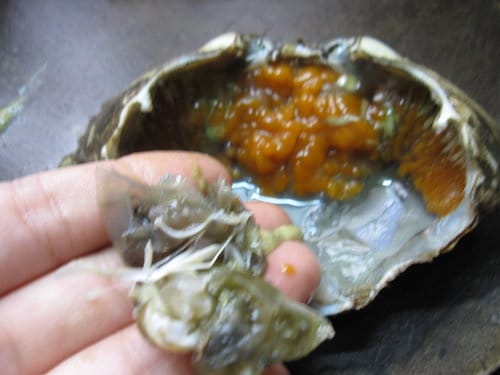 殺紅蟳.螃蟹類的方法
