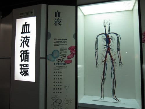 彰化景點『彰濱秀傳健康園區』 醫學博物館免費參觀 - 第18張圖 彰化景點『彰濱秀傳健康園區』 醫學博物館免費參觀