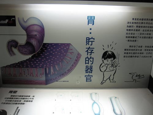 彰化景點『彰濱秀傳健康園區』 醫學博物館免費參觀 - 第23張圖 彰化景點『彰濱秀傳健康園區』 醫學博物館免費參觀