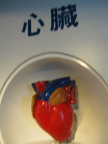彰化景點『彰濱秀傳健康園區』 醫學博物館免費參觀 - 第17張圖 彰化景點『彰濱秀傳健康園區』 醫學博物館免費參觀