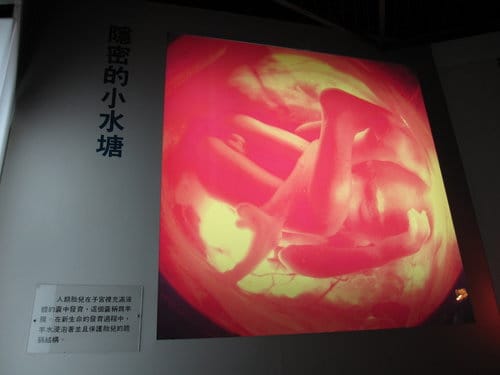 彰化景點『彰濱秀傳健康園區』 醫學博物館免費參觀 - 第33張圖 彰化景點『彰濱秀傳健康園區』 醫學博物館免費參觀