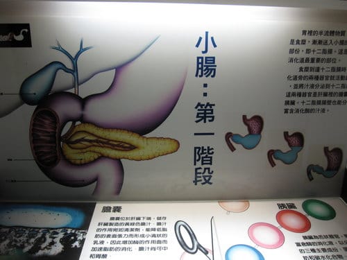 彰化景點『彰濱秀傳健康園區』 醫學博物館免費參觀 - 第26張圖 彰化景點『彰濱秀傳健康園區』 醫學博物館免費參觀